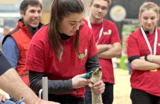 20e Ovinpiades des Jeunes Bergers