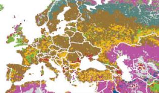 L’élevage dans le monde, défis et diversité