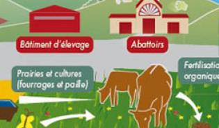 Des enjeux environnementaux au cœur des pratiques de filière