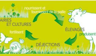 L'élevage et les gaz à effet de serre