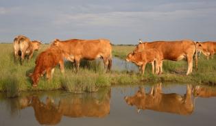 La préservation de la qualité de l'eau