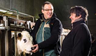 Mise en marché des animaux