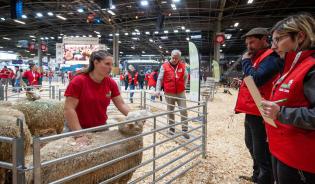 21e Ovinpiades des Jeunes Bergers