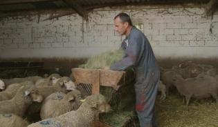 Interview Métiers - Lionel, éleveur d'ovins