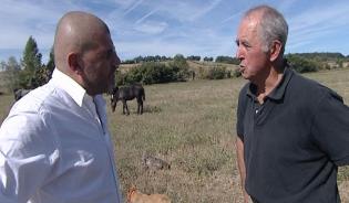 Le Cheval en Midi-Pyrénées