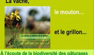 A l'écoute de la biodiversité - version intégrale