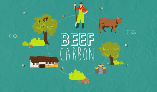 Le programme LIFE BEEF CARBON