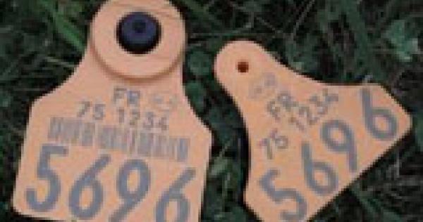 Emoshayoga 10 Pièces Identification ID Colliers Vache Marquage Bande Bovins Identification Anneau En Plastique Pour Tag Identification Animal(Rouge