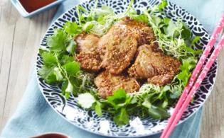 Salade asiatique au filet mignon de porc bio 