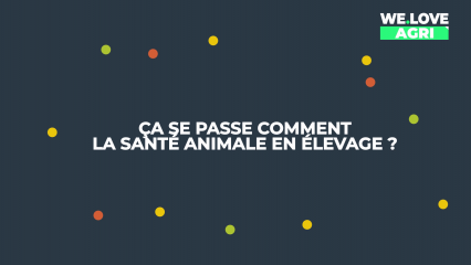 Ca se passe comment la santé animale en élevage ?