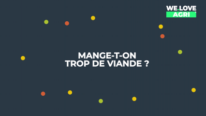 Mange-t-on de trop de viande ?