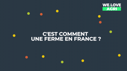 C'est comment une ferme en France ?