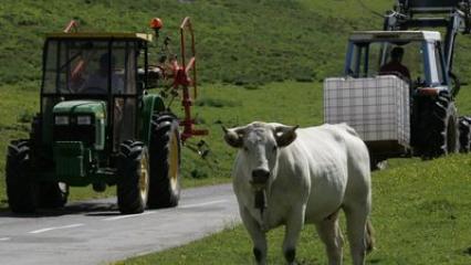 Quels gaz à effet de serre sont émis en élevage ? (1/2)