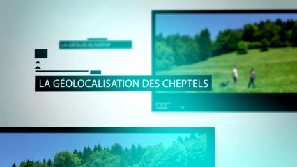 La géolocalisation des cheptels