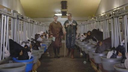 Histoire Métiers - Florent, technicien d'élevage et Jean-Paul, éleveur de veaux