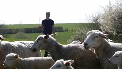 La filière ovine recrute : Élever et vivre des brebis - épisode 1