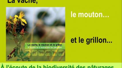 A l'écoute de la biodiversité - version intégrale