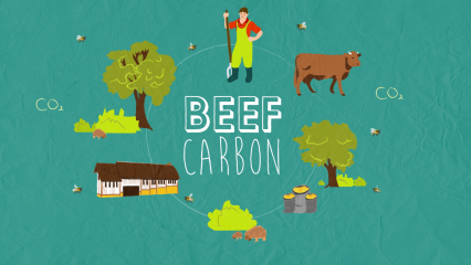 Le programme LIFE BEEF CARBON